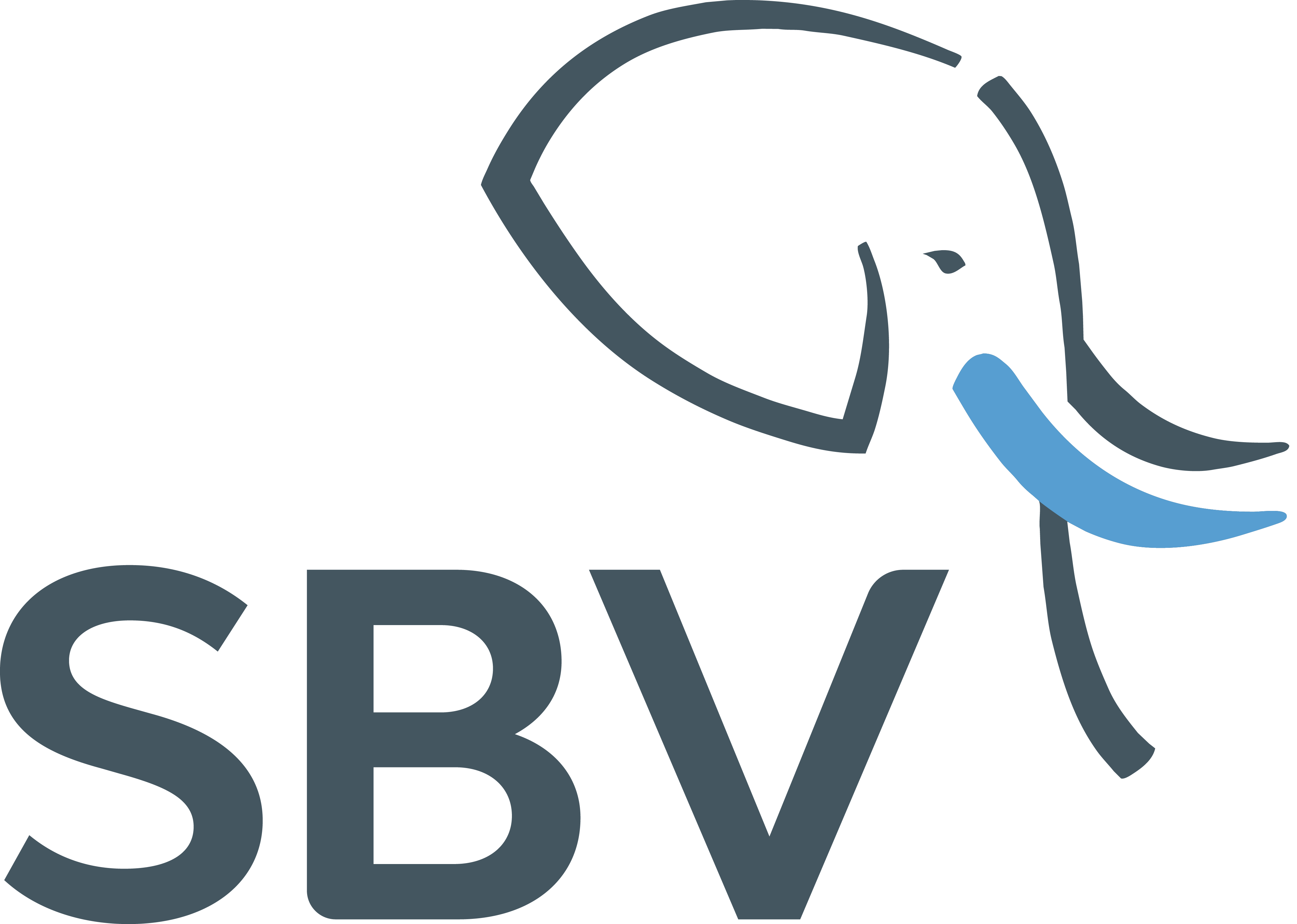 SBV Services